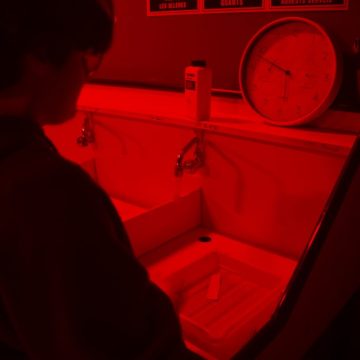 _MG_0934 _MG_0934