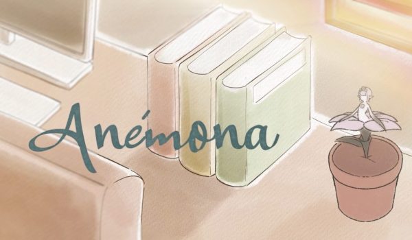 anemona anemona